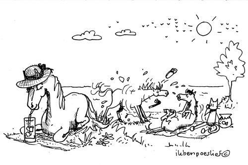 20120926-zwemmen-met-paarden-4-2295899