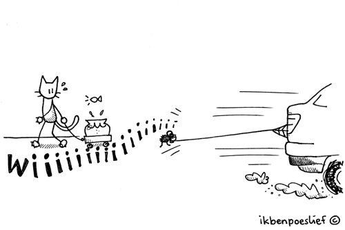 Nieuwe sport voor spinnen: carspinning!