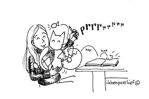 20121026-hier-is-poeslief-8659183