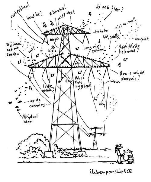 20121029-spreeuwen-trekvogels-8463268