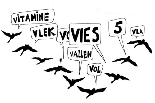 20121030-trekvogels-rotganzen-2-6317774