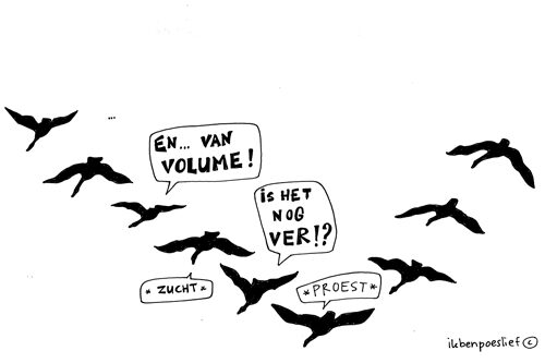 20121030-trekvogels-rotganzen-4-9146417