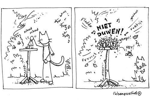 Dit zijn geen trekvogels…