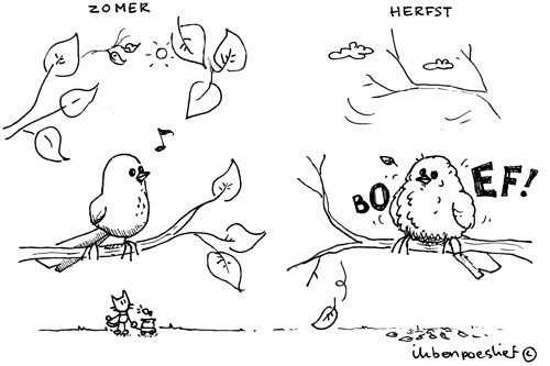 20121106-de-luchtige-transformatie-van-een-standvogel-3609429