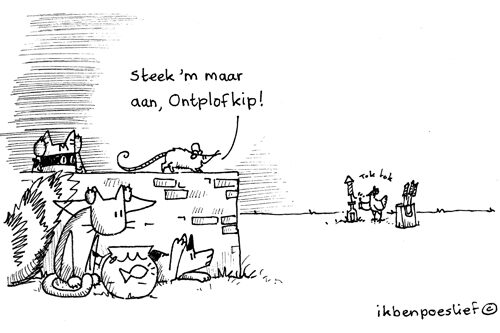 Een veilige jaarwisseling voor alle mensen en hun (huis)dieren!