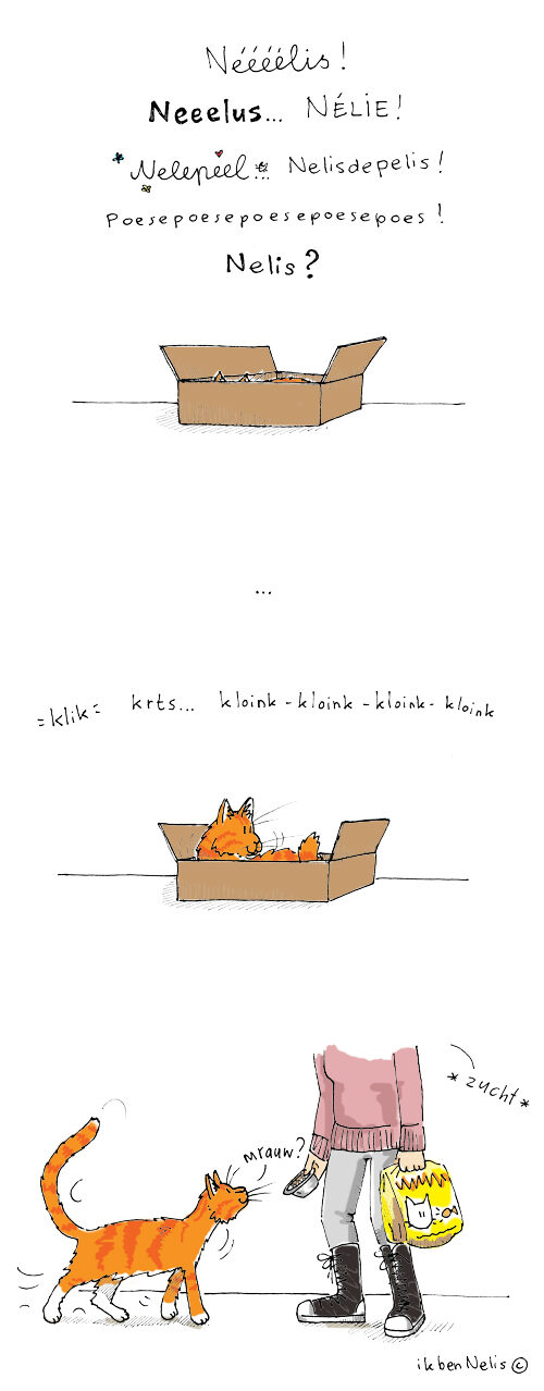 20130106-nelis-brokjes-3668163