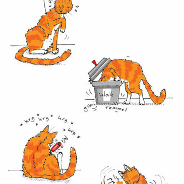 To purr or not to purr…