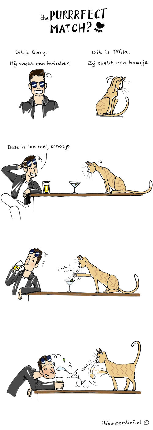 20130130-purrrfect-match-shaken-not-stirred-500-6585400