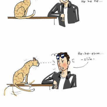 The Purrrfect Match? De grote versiertruc!