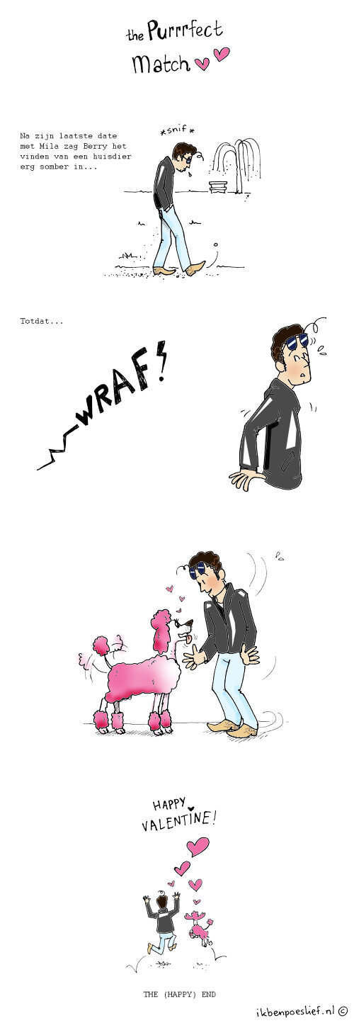 20130214-purrrfect-match-verhuisdieren-nl-valentine-3480902