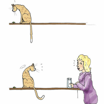 The Purrrfect Match: Mila’s match