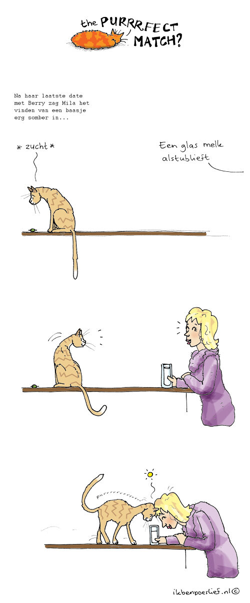 20130221-purrrfect-match-verhuisdieren-nl-milas-match-6394632