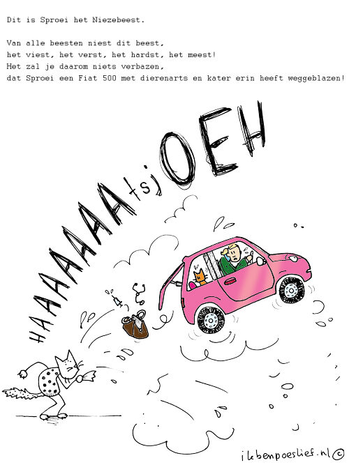 20130226-poeslief-rijmpje-sproei-niezebeest-fiat500-1086633