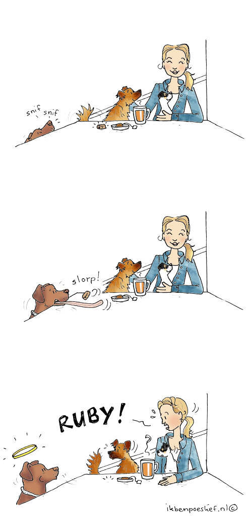 20130303-femke-verhuisdieren-ruby-kleur-6975171