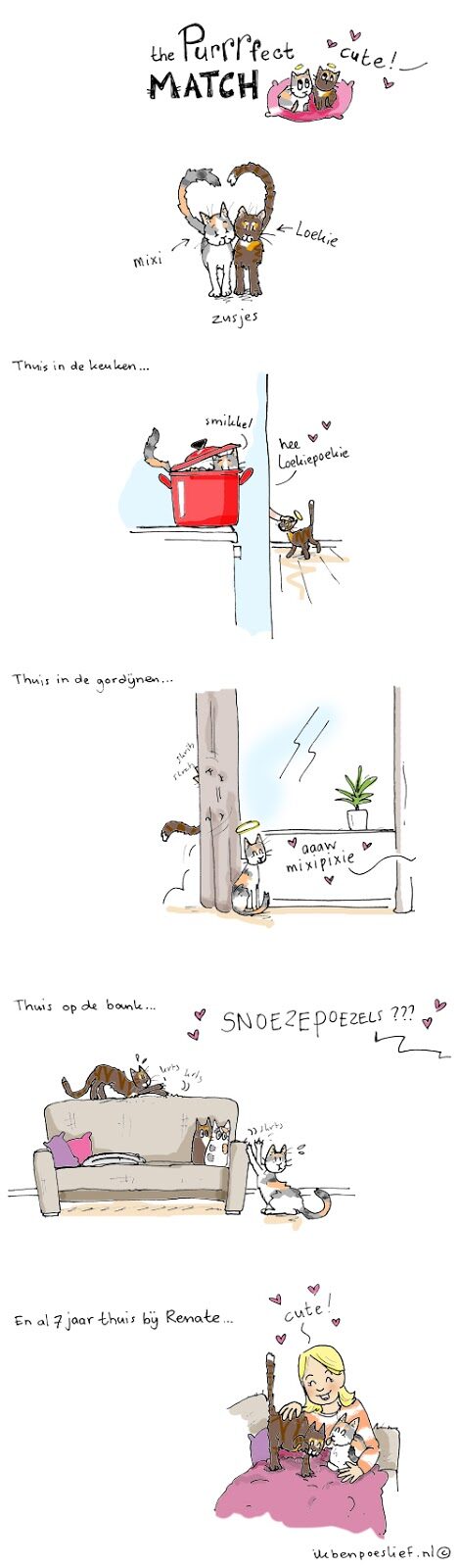 20130405-purrrfect-match-loekie-mixi-thuis-3050317