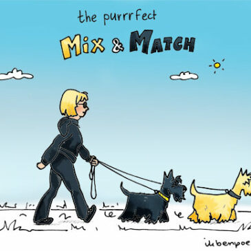 the Purrrfect Mix & Match