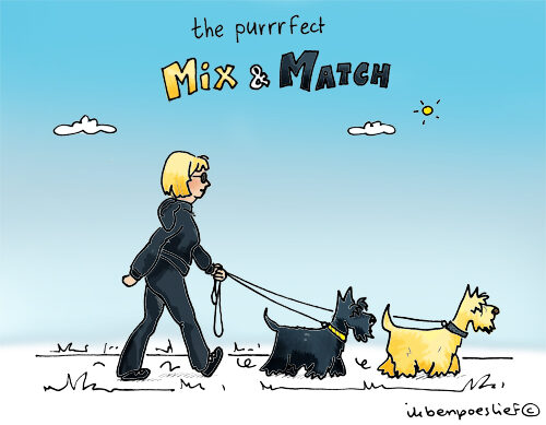 20130506-purrrfect-match-mix-and-match-500-7754610