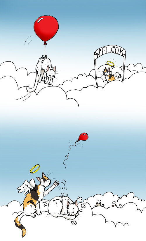 20130509witte-poes-hemelvaart1-6274099