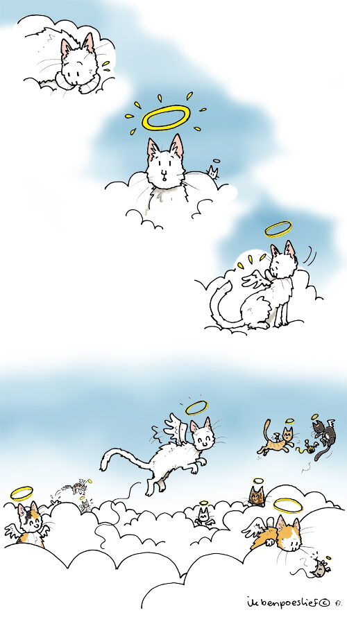 20130509witte-poes-hemelvaart2-3889930