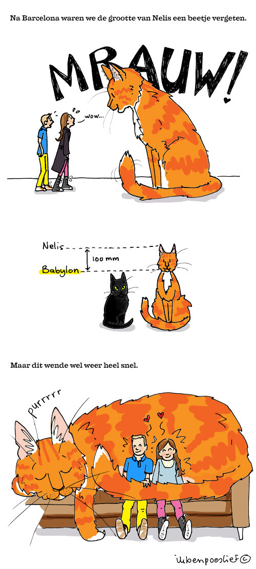 20130606-hallo-nelis-3524672