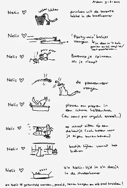 20130923-nelis-vakantiehandleiding-5886641