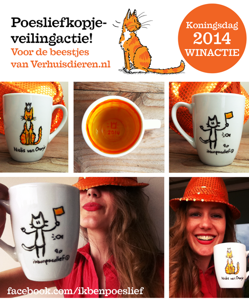 20140426_koningsdag_kopje_fbcollage_500-8953842
