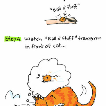 How to make: the cheapest cat toy ever…