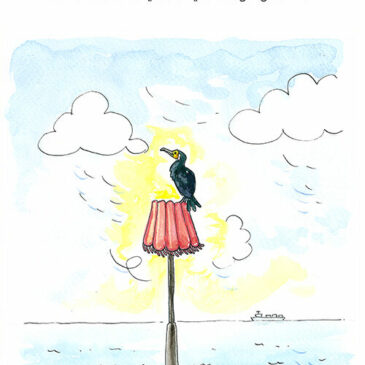 Poeslief rijmpje: “Over een aalscholver”