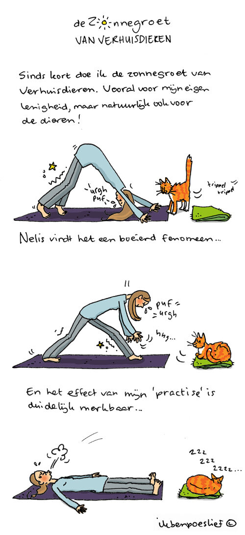 20150404_zonnegroet-verhuisdieren_500-7899841