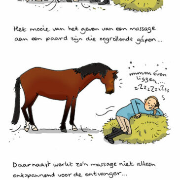 The Purrrfect Massage!