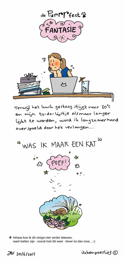 20150630-vhd-purrrfect-fantasie_500-9548178