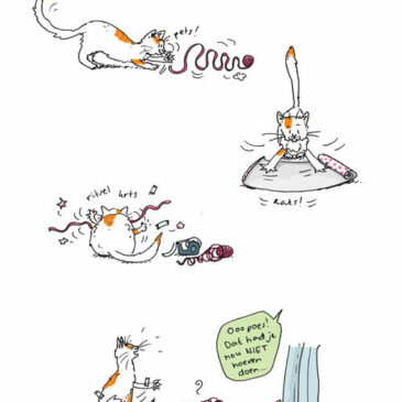 Een lief cadeautje van de poes…