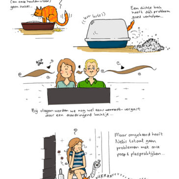 Kattenmanieren: poep- en plaspraktijken… :-P