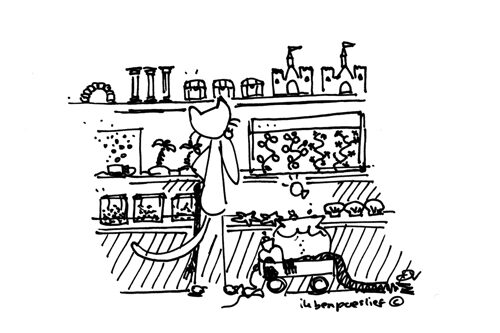 Waar zou een vis nou echt blij van worden? #durftevragen