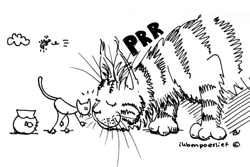 De kennismaking met #hetbeestvanroggel, best #gezellig