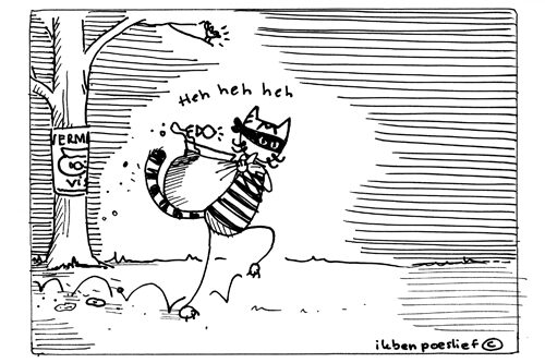 poeslief-2011-02-22-poeslief-en-de-verdwijning-van-vis-2-4308993