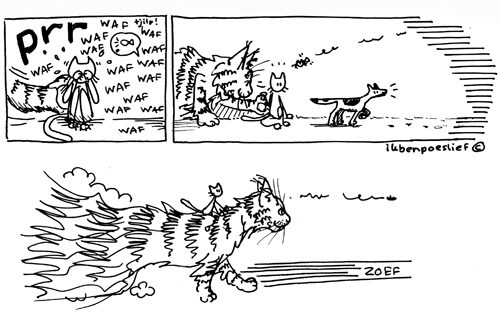 poeslief-2011-02-23-poeslief-en-de-verdwijning-van-vis-3-5503900