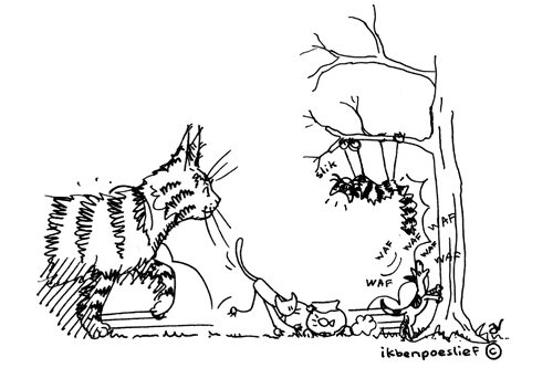 poeslief-2011-02-24-poeslief-en-de-verdwijning-van-vis-4-1655039