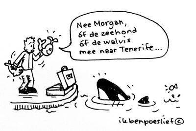 Orka Morgan bijna klaar voor reis naar Tenerife #Morgan