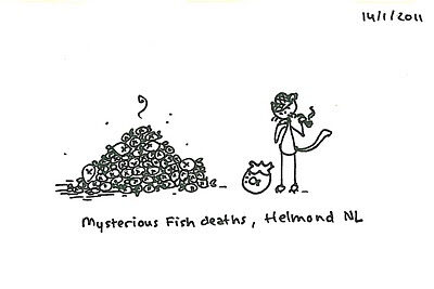 Mysterious fish deaths in Helmond, The Netherlands