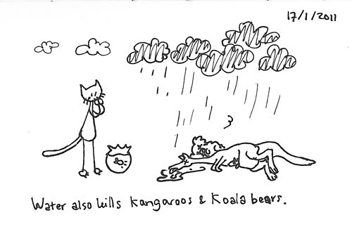 Water kills Australian wildlife