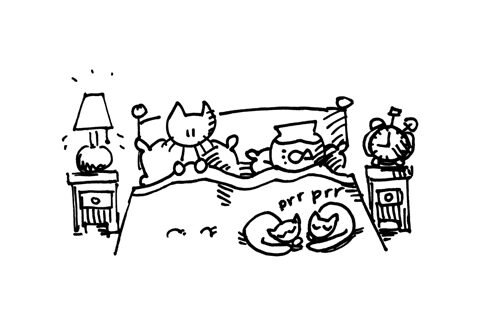 Bo & Do mogen blijven logeren (voor Liesbeth) #slaaplekker