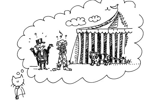 Poeslief kan zich goed voorstellen hoe gemakkelijk een tijger uit een circus ontsnapt… @NUnl